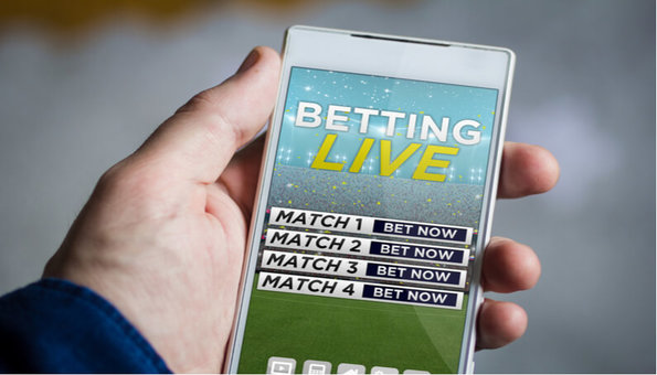 best online site for live betting reddit